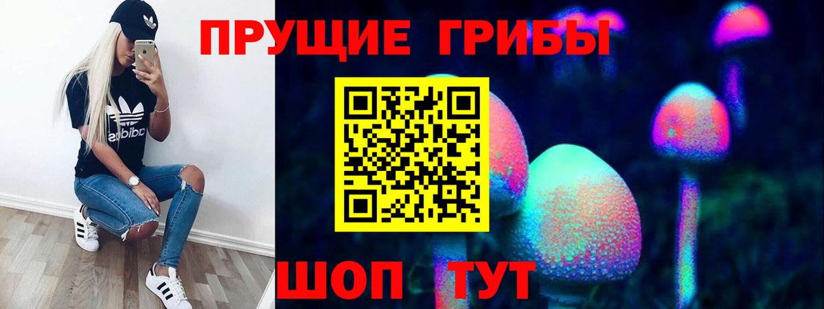 Галлюциногенные грибы Cubensis  Вход с VPN  Ивантеевка 